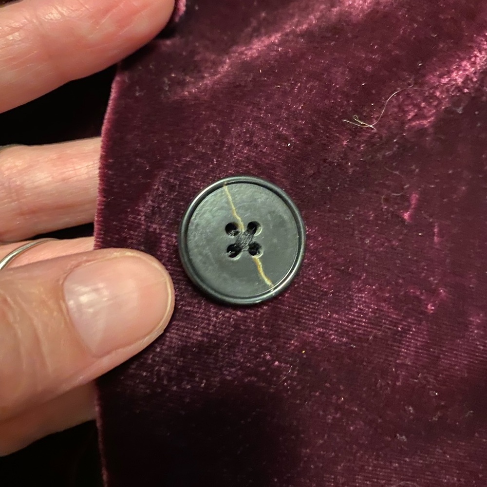 Banana Republic Velvet Blazer in Purple ☔️ - Picture 4 of 10